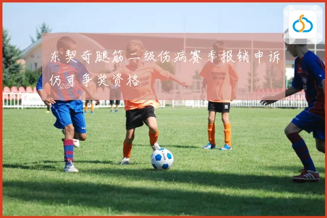 东契奇腿筋二级伤病赛季报销申诉仍可争奖资格