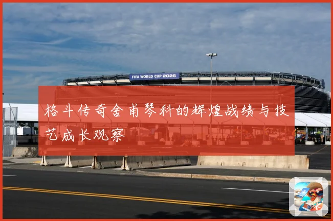 格斗传奇舍甫琴科的辉煌战绩与技艺成长观察
