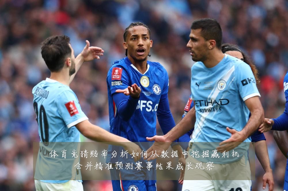 体育竞猜赔率分析如何从数据中挖掘赢利机会并精准预测赛事结果成长观察