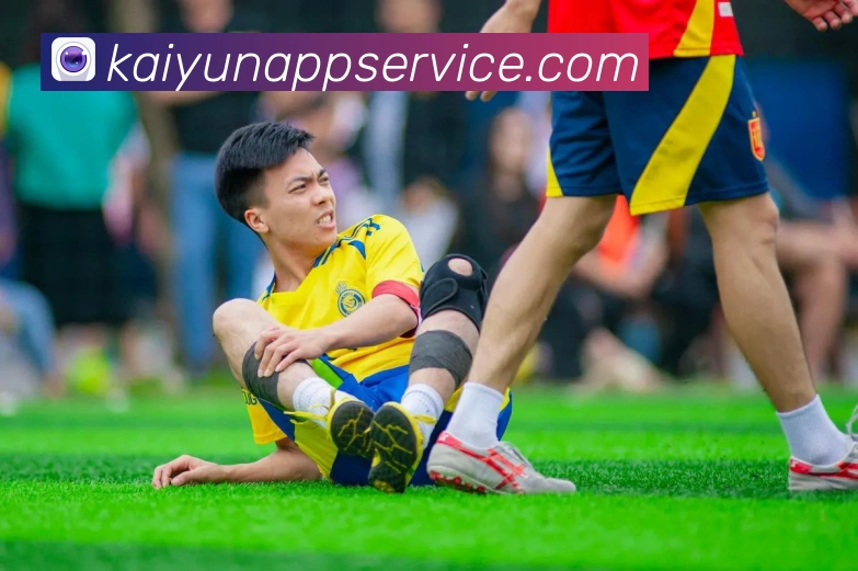 开云平台展示图